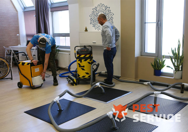 Профессиональная сушка после потопа в Казани от 3000 руб. Быстро устраняем влагу, предотвращаем плесень и повреждения. Современное оборудование и опытные специалисты. Безопасно и эффективно.